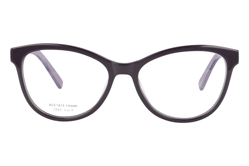 Acetate optical frame with spring hinge