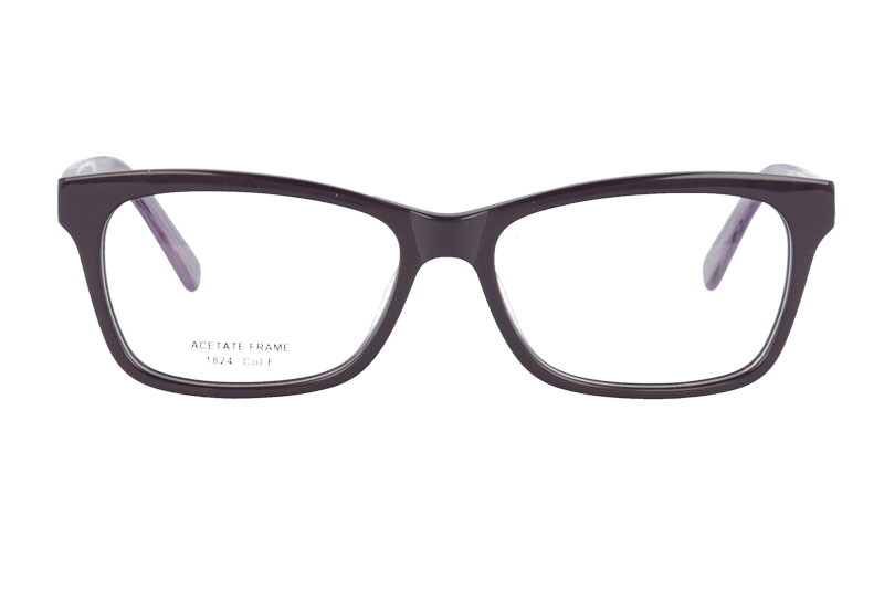 Acetate optical frame with spring hinge