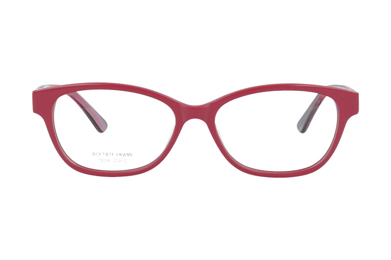 Acetate optical frame with spring hinge