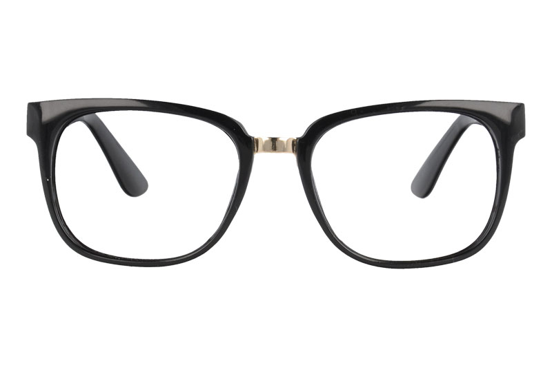 PC with Metal Optical Eyeglasses  Frame