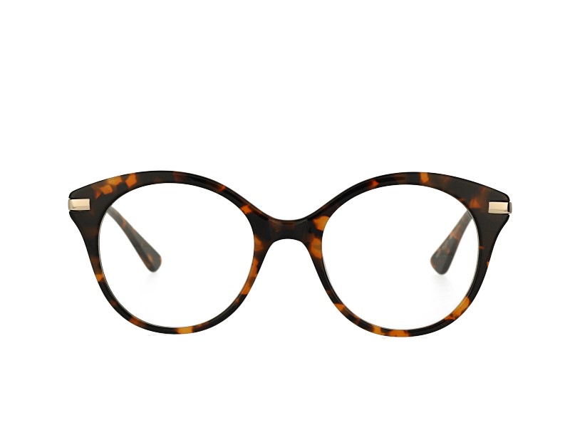 Cat eye Acetate and stainless steel combination