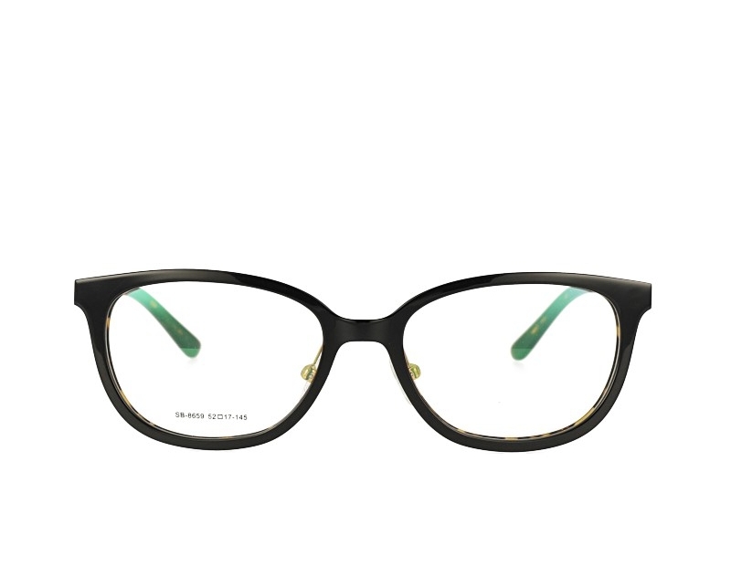 Acetate Optical Glasses and Metal Temples