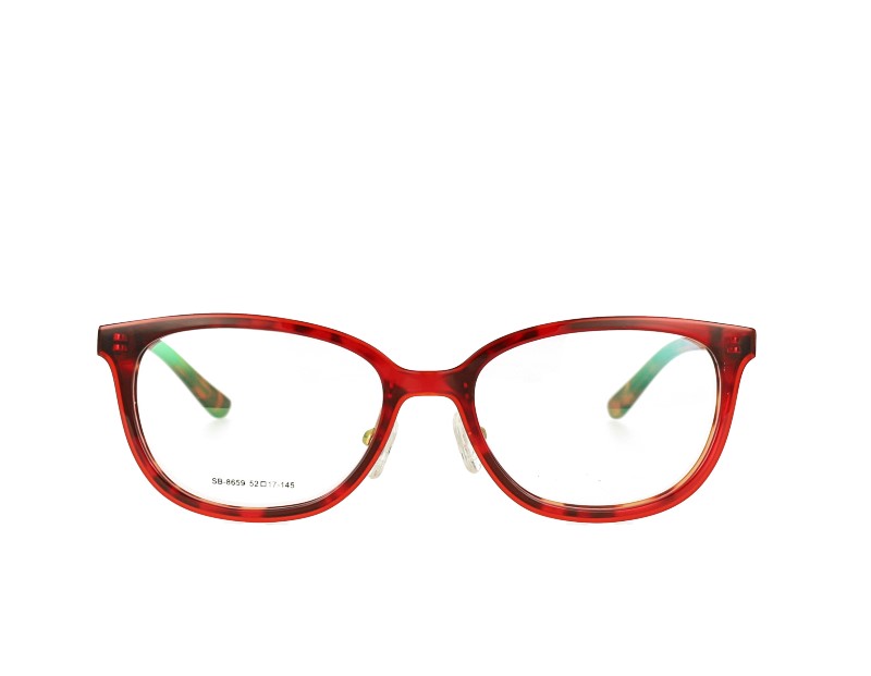 Acetate Optical Glasses and Metal Temples