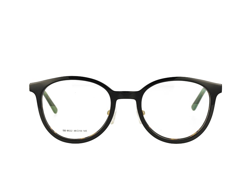 Acetate Prescription Glasses and Metal Temples frame