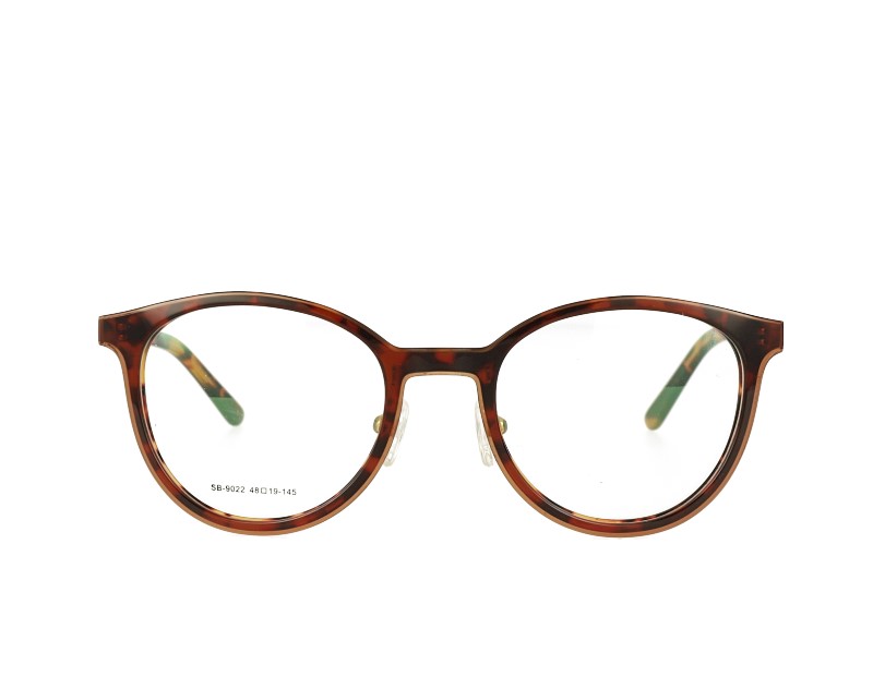 Acetate Prescription Glasses and Metal Temples frame