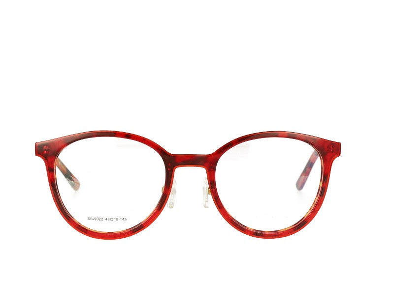 Acetate Prescription Glasses and Metal Temples frame