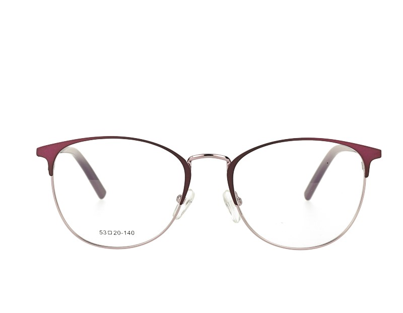 Oval Woman's Stainless Steel Optical Eyewear