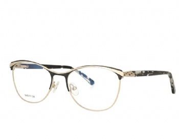 Cat Eye Woman Full Rim Metal Frame Acetate temple