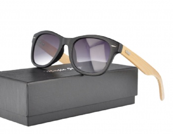 J0193 Wayfarer Plastic Sunglasses with Bamboo Temples