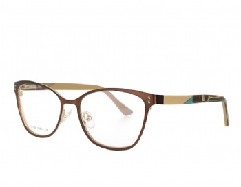 Stainless Steal Cat Eye Optical Frame With Spring Hinge