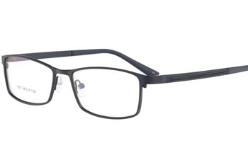 Metal ultem temple prescription spectacles  eyewear